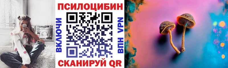 гидра ССЫЛКА  Пойковский  Галлюциногенные грибы Magic Shrooms 